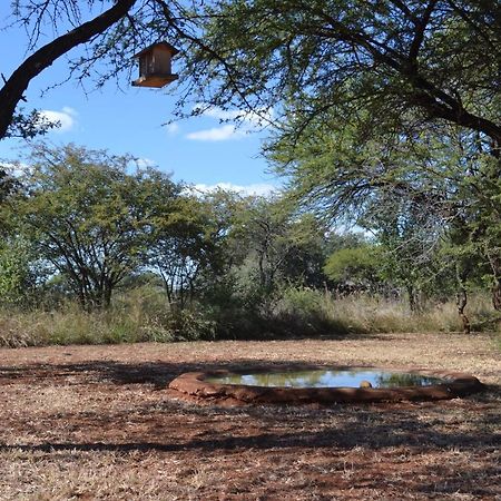 Makhato 84 Bush Lodge بيلا-بيلا المظهر الخارجي الصورة